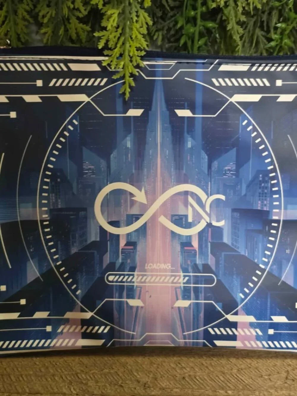 New Fairyloot Coldwire by Chloe Gong Large Zip Pencil Case